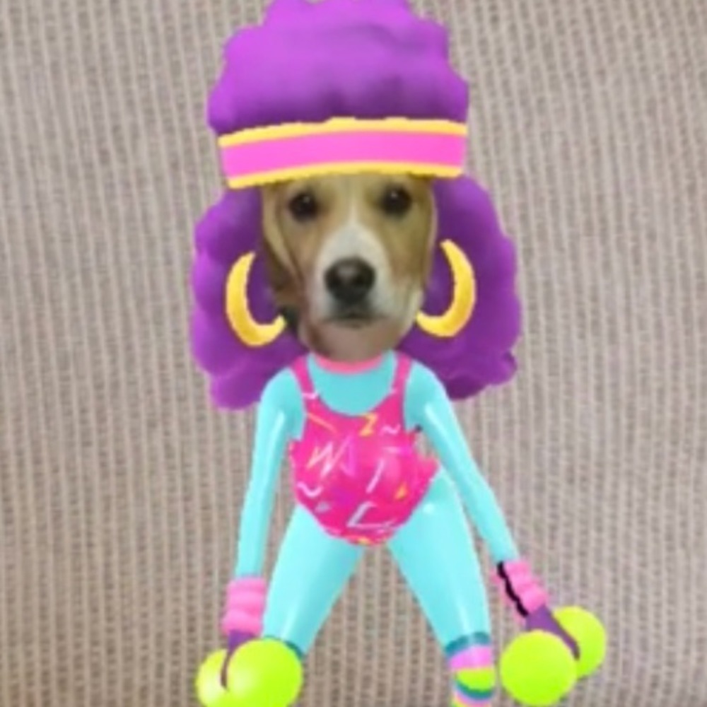 Meet your Posher, Gianna